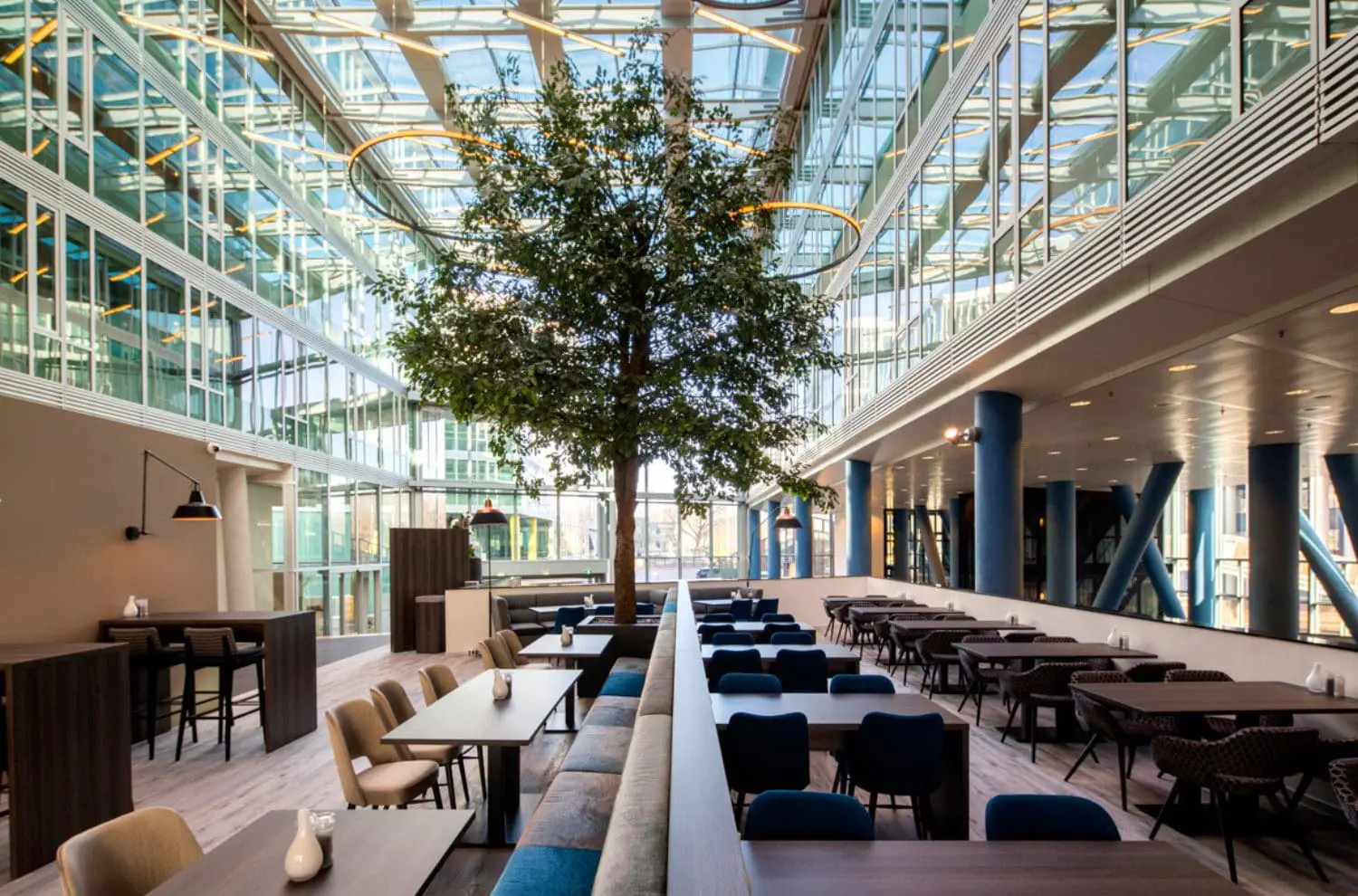 Modern atrium met grote boom en zitplaatsen in vergaderlocatie Eindhoven